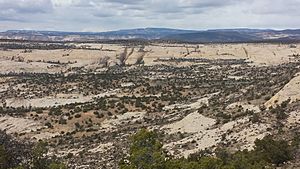 Grand Staircase Escalante National Monument