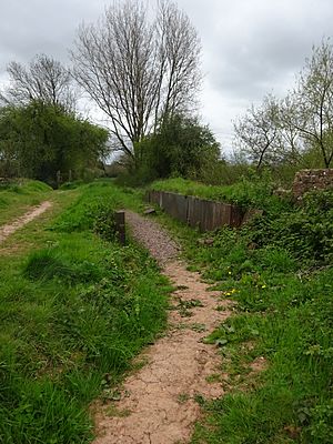 Grand Western Canal Aqueduct over the RiverTone