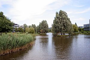 GreenPark Lake