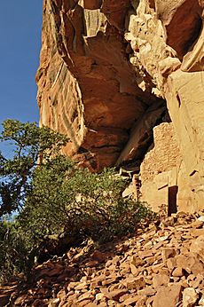 Honanki Ruins cliff dwelling