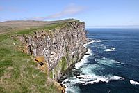 Iceland2008-Latrabjarg.cliff