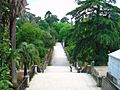 Jardim Botânico de Coimbra2