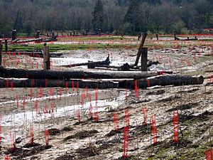 Johnson creek pasture reclamation P2222