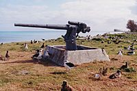 Midway gun