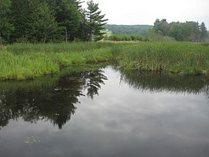 Missisquoi River