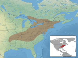 Myotis leibii distribution.png