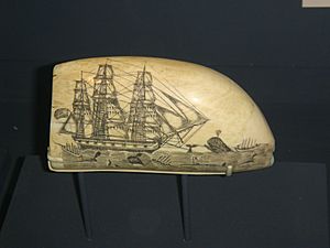 Nantucket Whaling scrimshaw E.Burdett