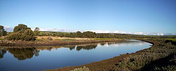 Onkaparinga Estuary 2.jpg