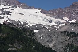 Paradise Glacier 8171.JPG