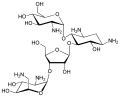 Paromomycin structure