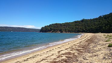 Patonga (14501610426).jpg