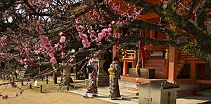 Plum trees Kitano Tenmangu