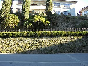 Pontevedra capital Muralla medieval.jpg