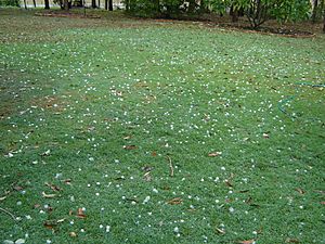 Queensland HailStorm 260305