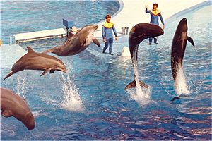 Sea World1