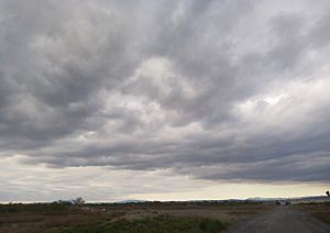 Stratocumulus 1