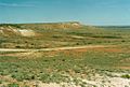 Sturt National Park