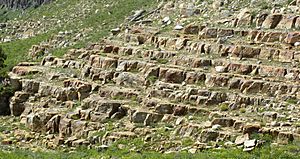 SwanPeakQuartziteOutcrop