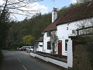 Vine Inn - geograph.org.uk - 393613