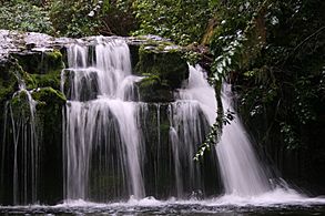 Weir in Brook Valley Stream