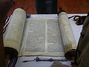 YanovTorah