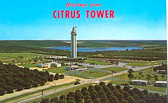 "Greetings from Citrus Tower" (11403313626)