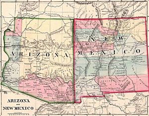 AZ-NM1867