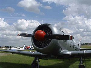 AircraftExhibitAtNorthWealdAirField(ChristineMatthews)Jun2004