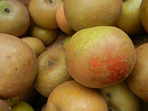 Ashmead's Kernel Apples