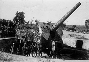 Bundesarchiv Bild 183-R36225, Türkei, Dardanellen, Schweres Geschütz