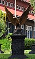 Burn Hall golden eagle