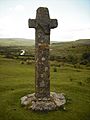 Cadover Cross (portrait)