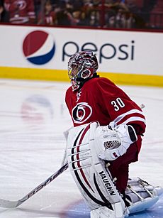 Cam Ward 2013