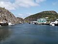 Carlb-quidividi-nfld-2002