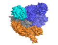 Cas9 Apo Structure