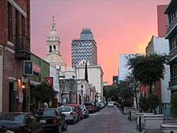 Centro de Monterrey