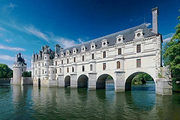 Chateau de Chenonceau 2008E (adjusted2)