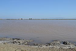 Don Edwards San Francisco Bay National Wildlife Refuge 8