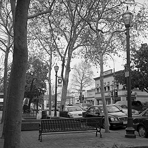 Downtown Walnut Creek 02 BW