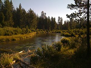 Fall River, Deschutes County, OR.jpg