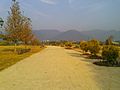 Fatima Jinnah Park 1