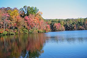 French Creek State Park PA.jpg