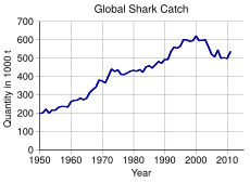 Global shark catch