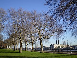 Island Gardens