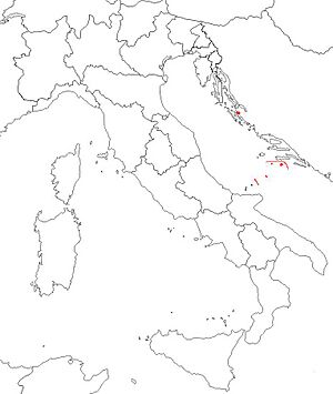 Italian province of Zara (1920-1941).JPG