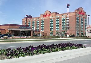 LF Marriott