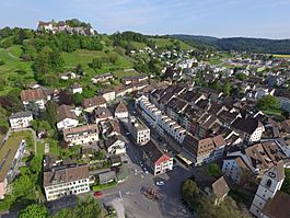 Lenzburg DJI 0960.jpg