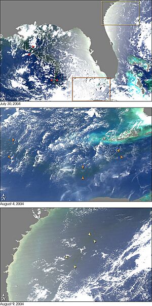 MississippiRiver GulfMex MODIS 2004jul-aug