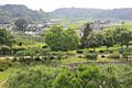 National museum area - Gyeongju