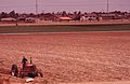 ONE OF A FEW REMAINING FARM FIELDS NEAR THE OCEAN IN FAST GROWING ORANGE COUNTY. SOME 4 PERCENT OF THE STATE... - NARA - 557476 (cropped)